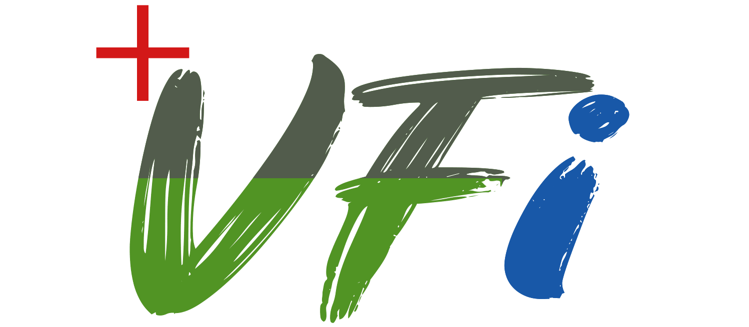 cropped-cropped-vidi-five-01.png